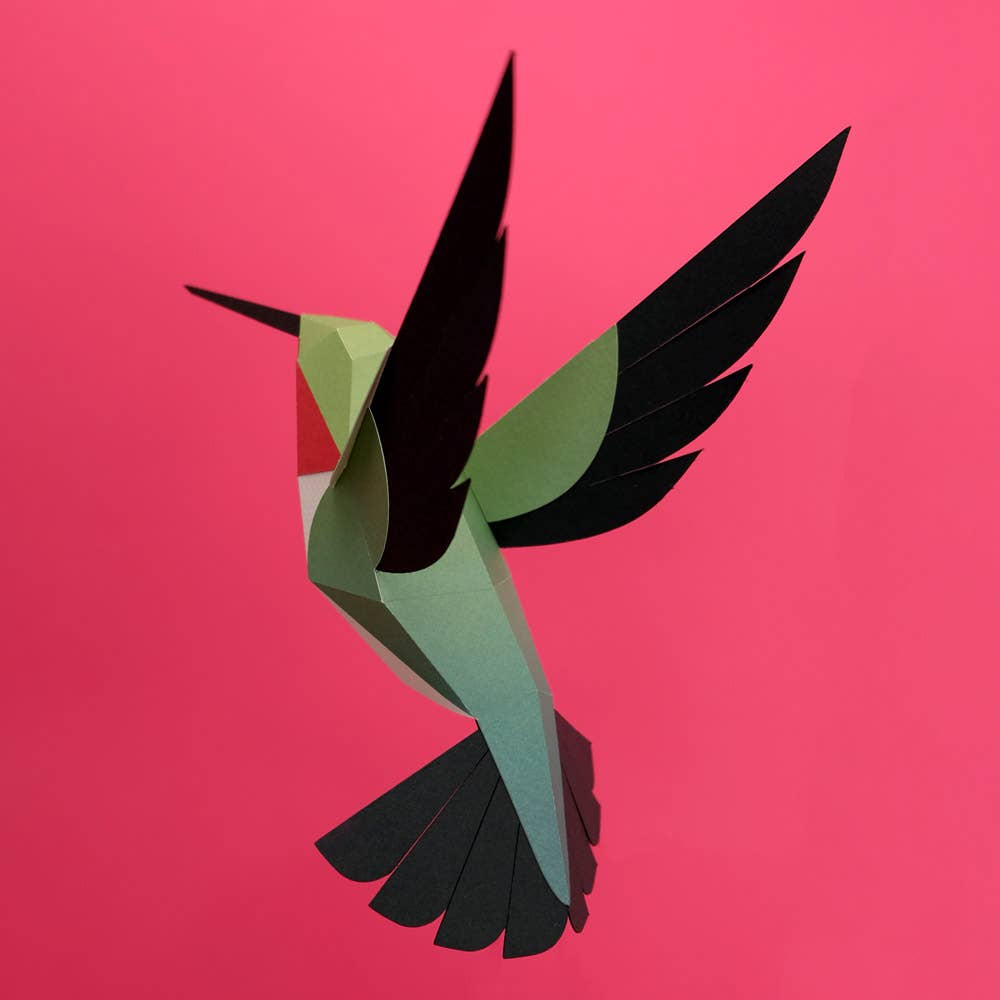 3D-Papierkolibri Selasphorus Platycercus