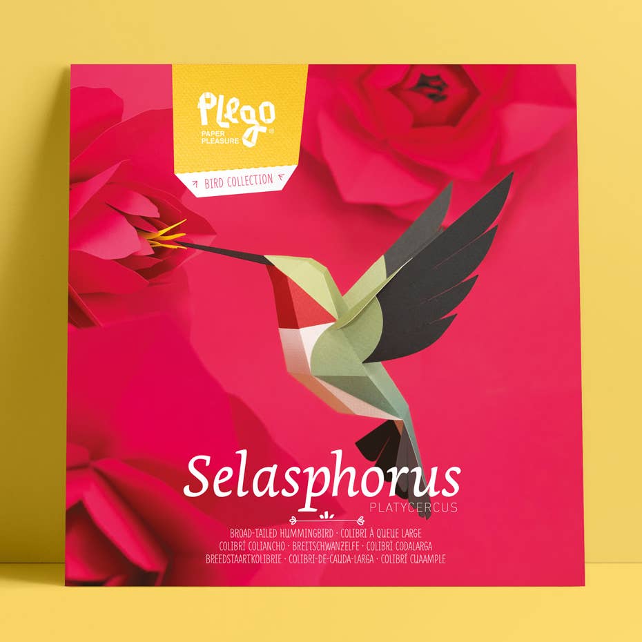 3D-Papierkolibri Selasphorus Platycercus