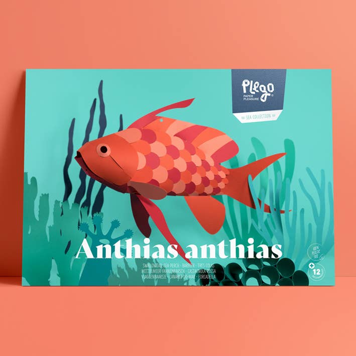 Anthias anthias – 3D-Papierfigur Fisch