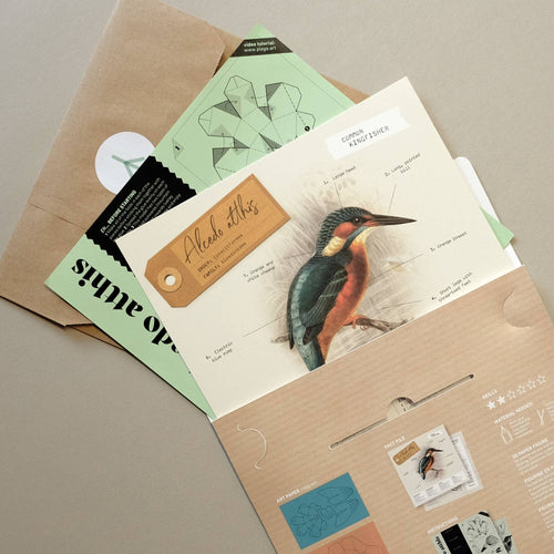 Bastelmappe Common Kingfisher mit Papierbögen, Vorlagen und Anleitung in der Draufsicht